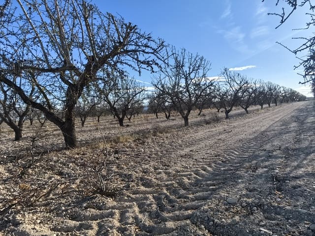 Mark till salu i Pinoso - 180 000 € (Ref: 8935920)