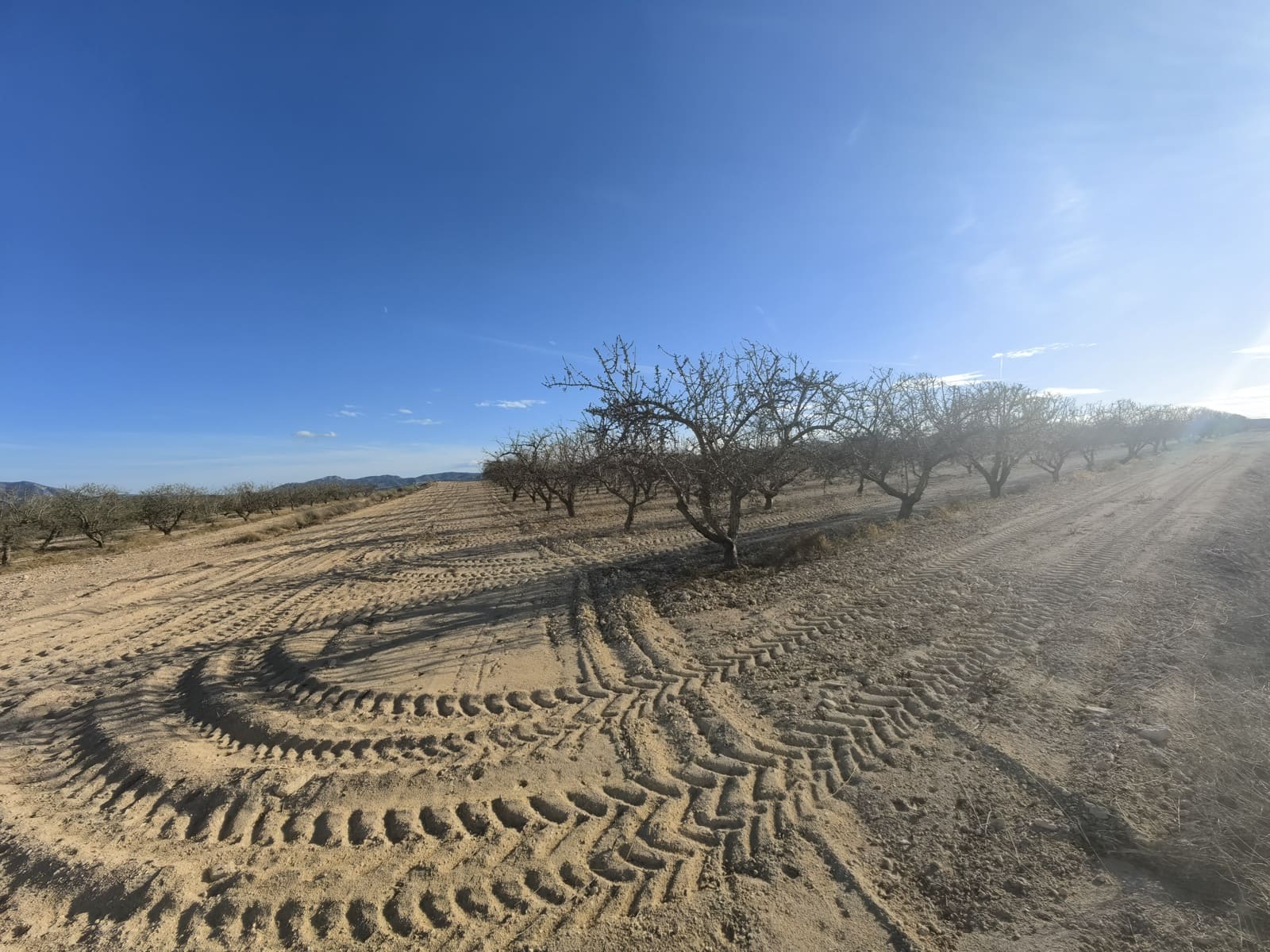 Mark till salu i Pinoso - 180 000 € (Ref: 8935920)