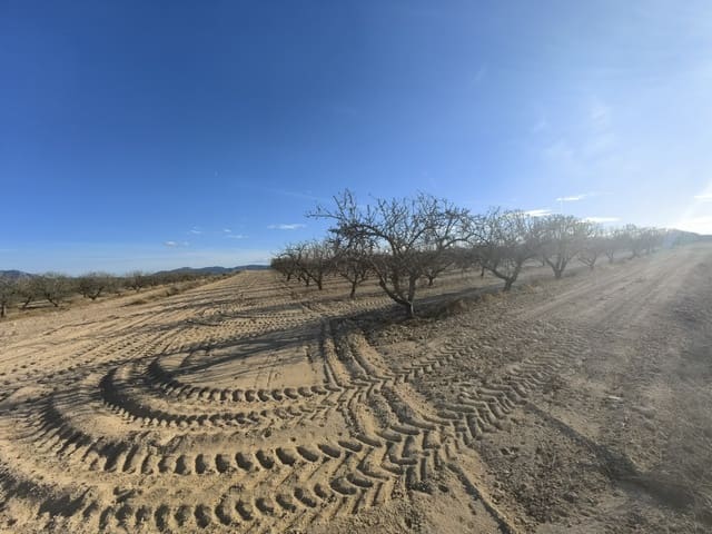 Mark till salu i Pinoso - 180 000 € (Ref: 8935920)