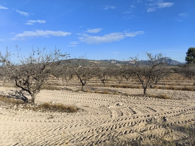 Mark till salu i Pinoso - 180 000 € (Ref: 8935920)