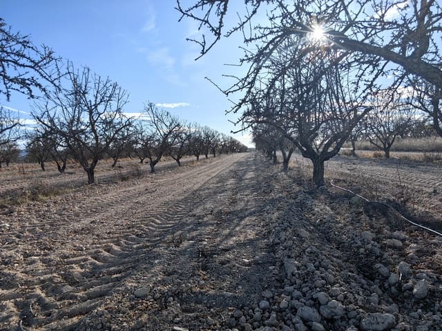 Mark till salu i Pinoso - 180 000 € (Ref: 8935920)