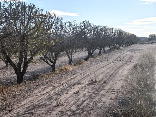 Mark till salu i Pinoso - 180 000 € (Ref: 8935920)