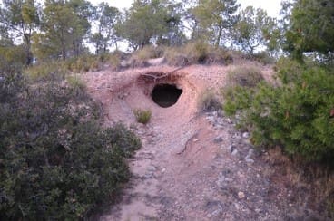 Mark till salu i Raspay, Yecla - 29 900 € (Ref: 8935954)