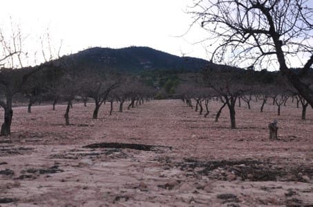 Grunde uden byggetilladelser til salg i Raspay - € 29.900 (Ref: 8935954)