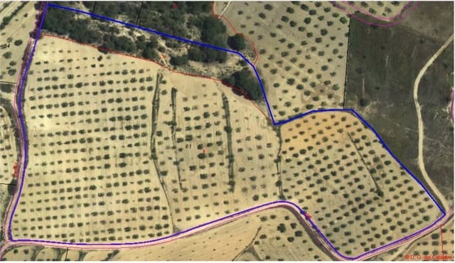 Mark till salu i Raspay, Yecla - 29 900 € (Ref: 8935954)