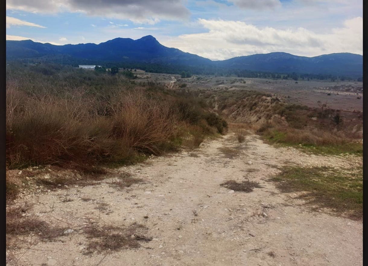 3 bedroom Finca/Country House for sale in Jumilla - € 39,900 (Ref: 8935963)