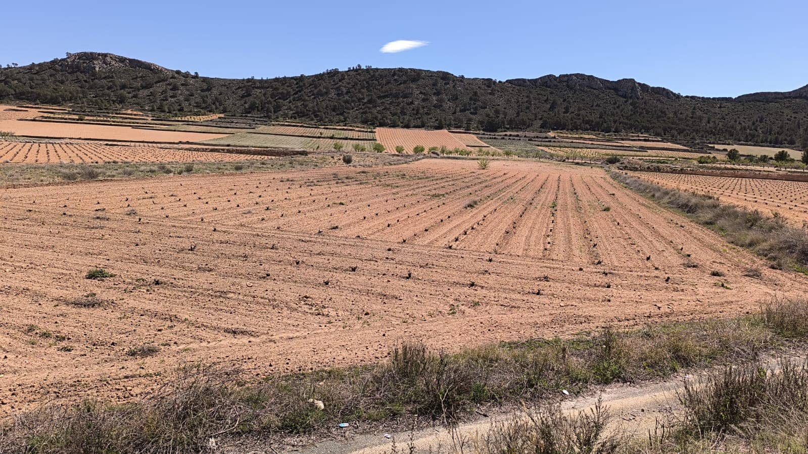 Undeveloped Land for sale in Abanilla - € 39,990 (Ref: 8947011)