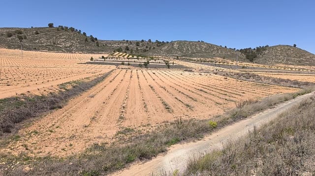 Undeveloped Land for sale in Abanilla - € 39,990 (Ref: 8947011)