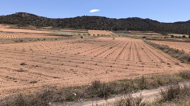 Undeveloped Land for sale in Abanilla - € 39,990 (Ref: 8947011)