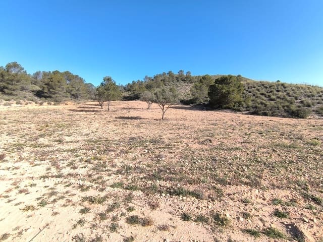 Terre non Aménagée à vendre à Yecla - 52 500 € (Ref: 8947014)