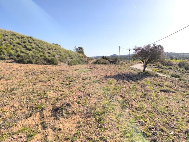 Terre non Aménagée à vendre à Yecla - 52 500 € (Ref: 8947014)