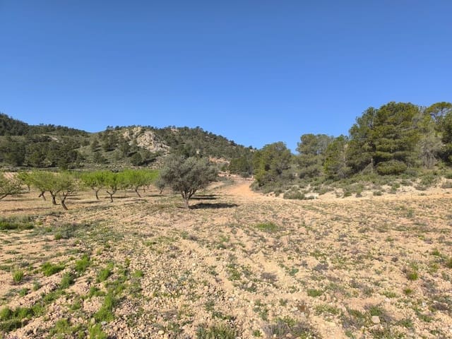 Terre non Aménagée à vendre à Yecla - 52 500 € (Ref: 8947014)
