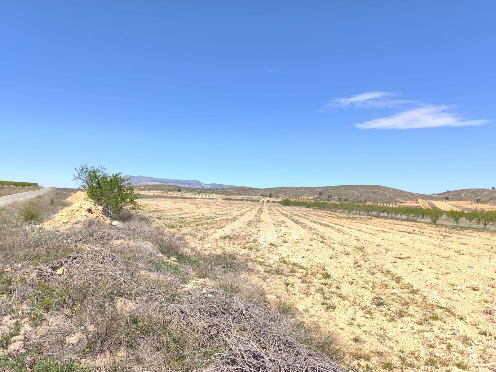 Undeveloped Land for sale in Canada de la Lena - € 89,990 (Ref: 8947015)