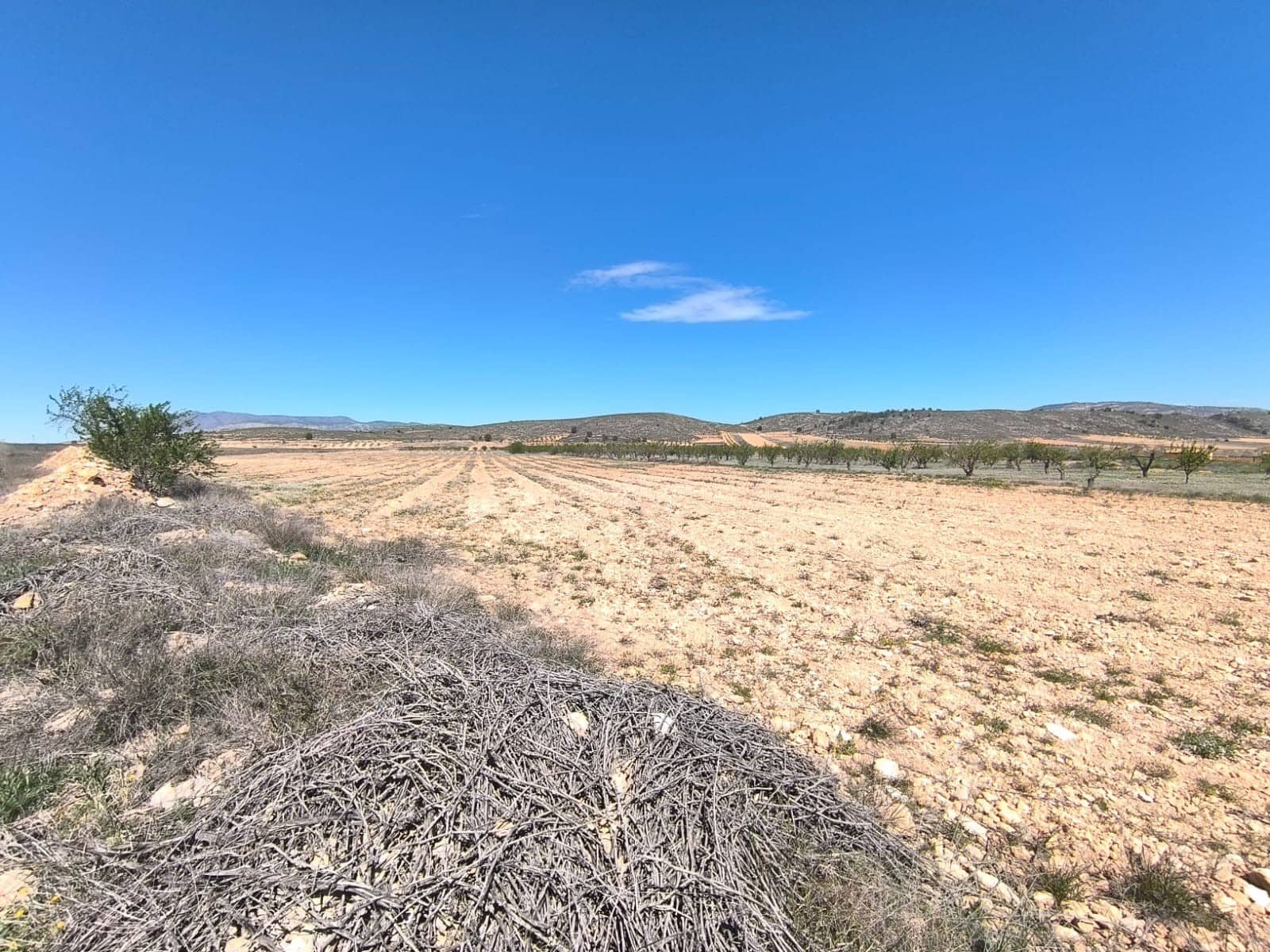 Undeveloped Land for sale in Canada de la Lena - € 89,990 (Ref: 8947015)