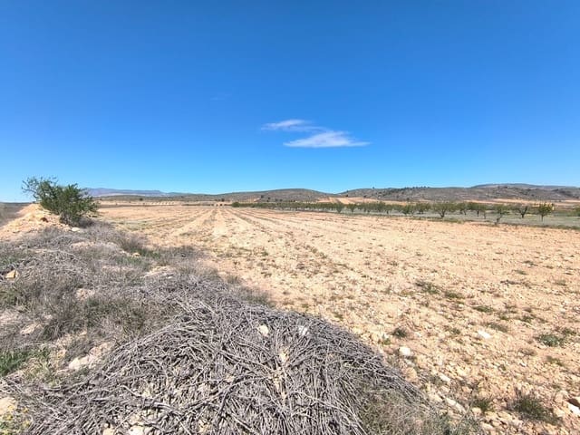 Terre non Aménagée à vendre à Cañada de la Lena, Abanilla - 89 990 € (Ref: 8947015)