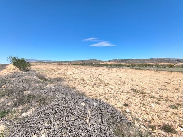 Mark till salu i Cañada de la Lena, Abanilla - 89 990 € (Ref: 8947015)
