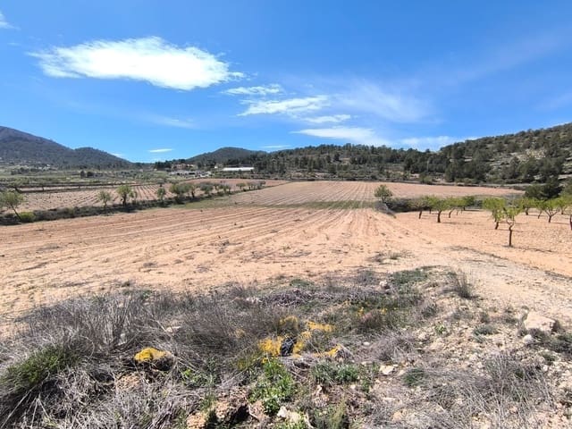 Undeveloped Land for sale in La Zarza, Jumilla - € 62,500 (Ref: 8947016)