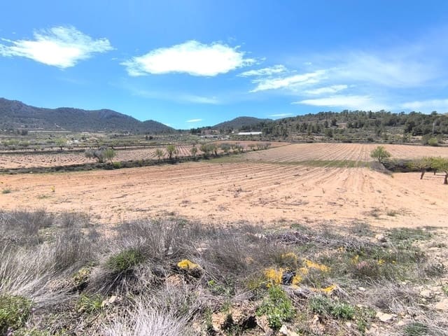 Undeveloped Land for sale in La Zarza, Jumilla - € 62,500 (Ref: 8947016)