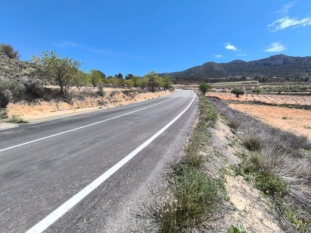 Undeveloped Land for sale in La Zarza, Jumilla - € 62,500 (Ref: 8947016)