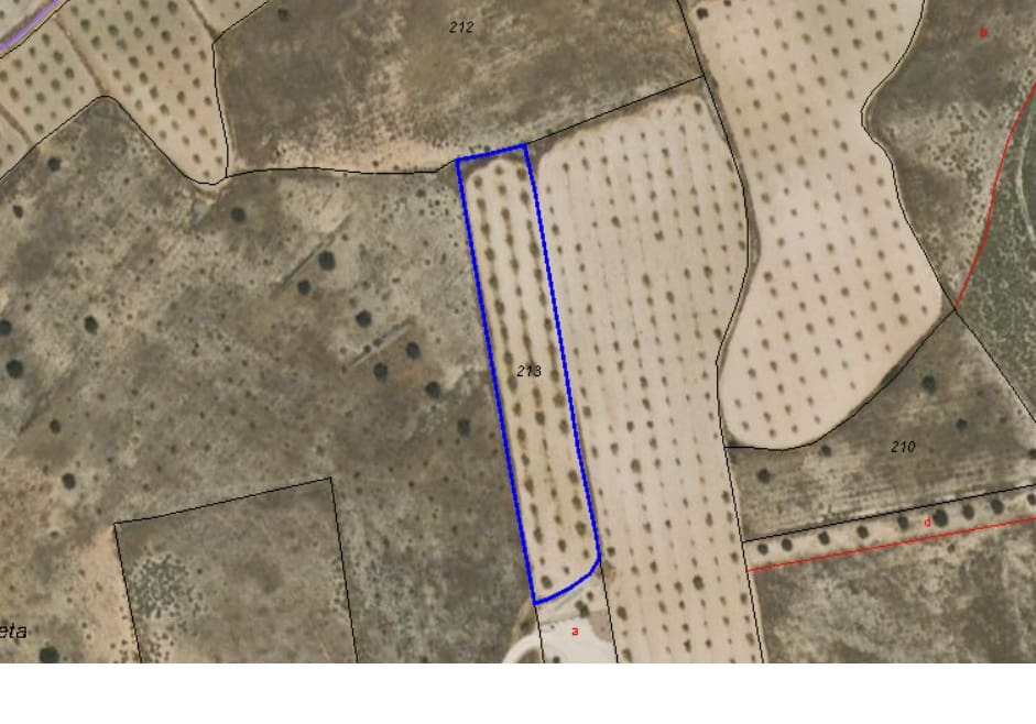 Undeveloped Land for sale in Jumilla - € 13,900 (Ref: 8947017)
