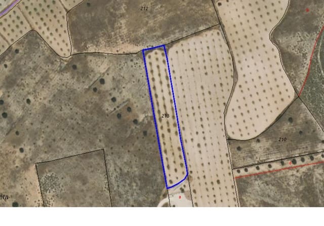 Undeveloped Land for sale in Jumilla - € 13,900 (Ref: 8947017)