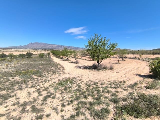 Undeveloped Land for sale in Jumilla - € 13,900 (Ref: 8947017)