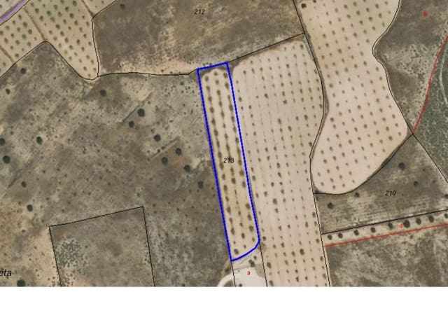 Mark till salu i Jumilla - 13 900 € (Ref: 8947017)