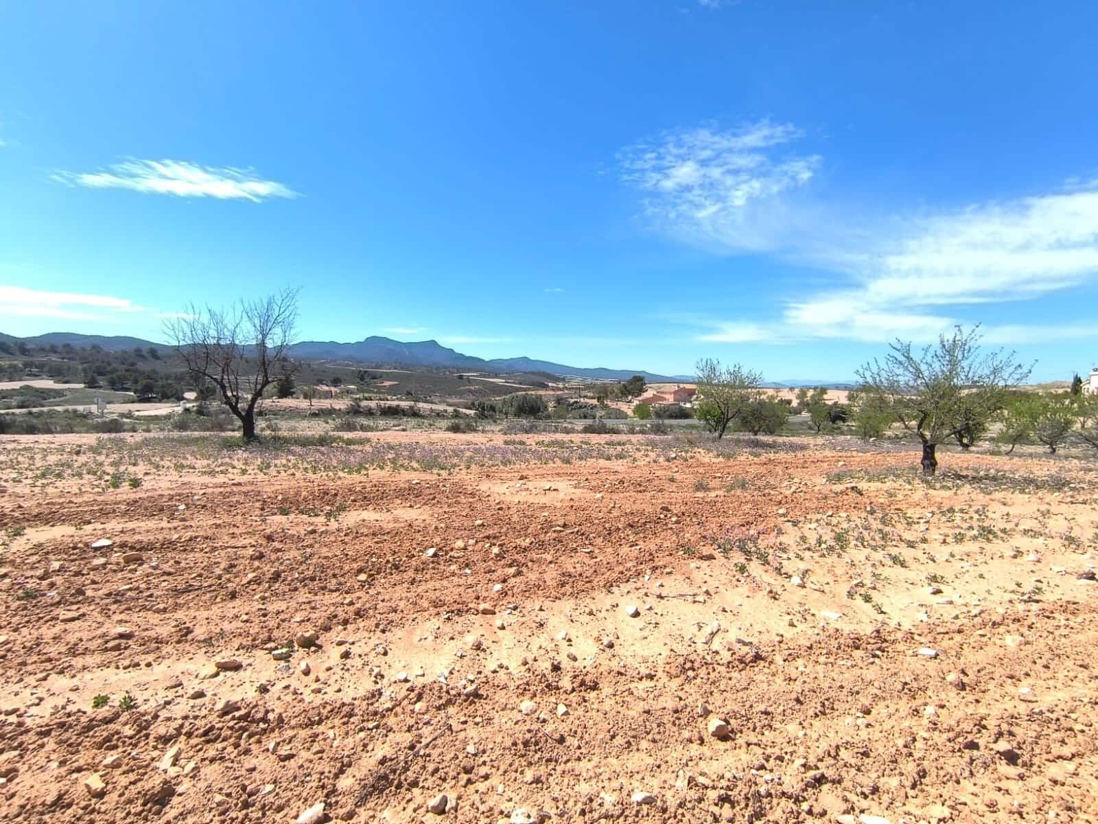 Undeveloped Land for sale in Jumilla - € 13,800 (Ref: 8947018)