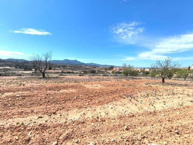 Undeveloped Land for sale in Jumilla - € 13,800 (Ref: 8947018)