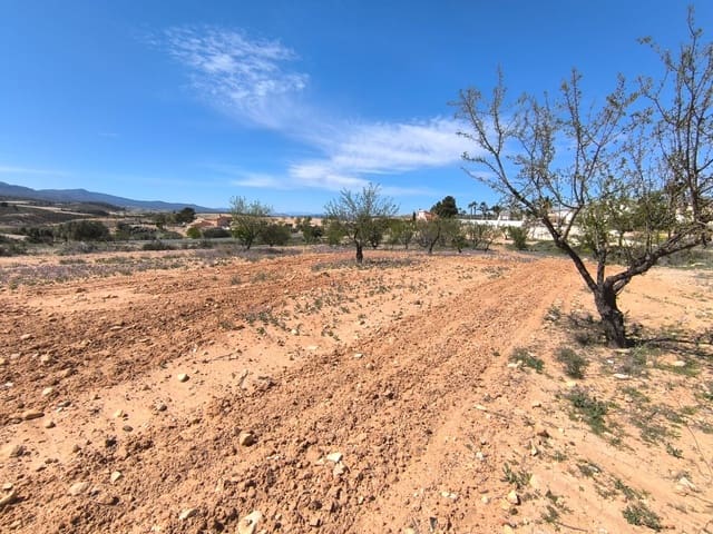 Undeveloped Land for sale in Jumilla - € 13,800 (Ref: 8947018)