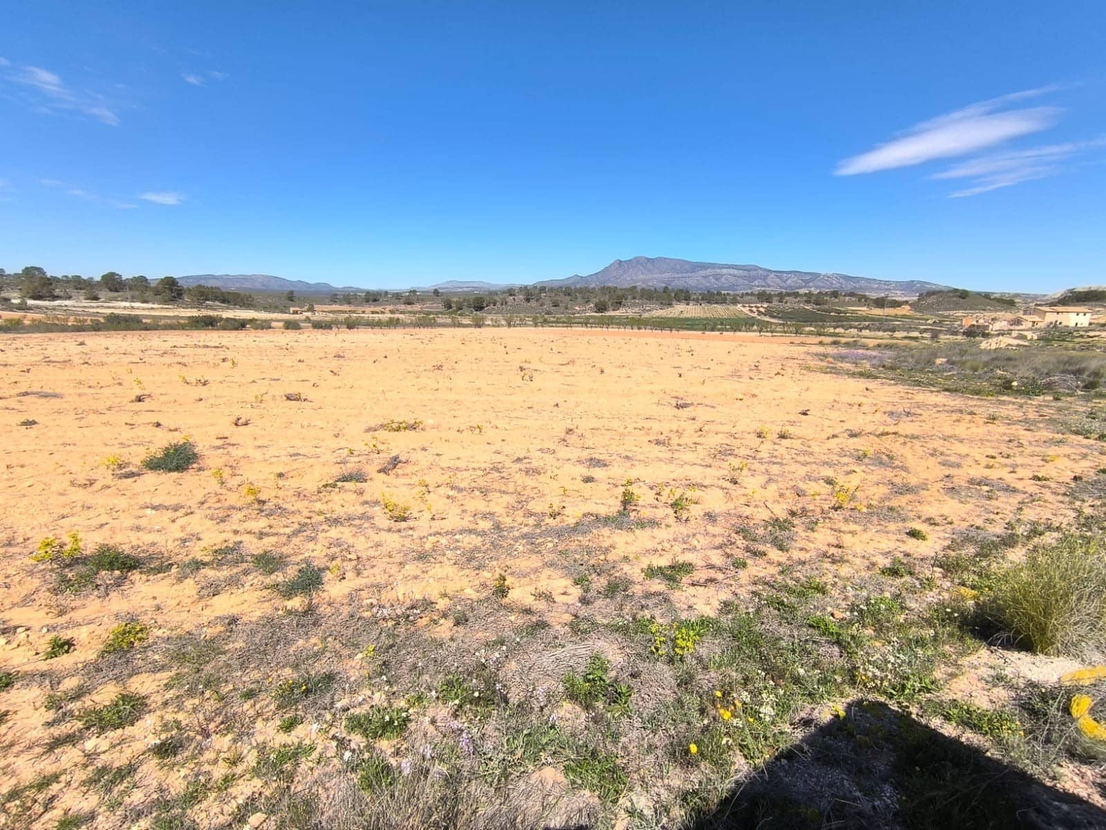 Terre non Aménagée à vendre à La Zarza - 43 500 € (Ref: 8947019)