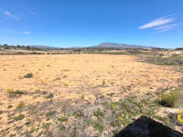 Terre non Aménagée à vendre à La Zarza, Jumilla - 43 500 € (Ref: 8947019)