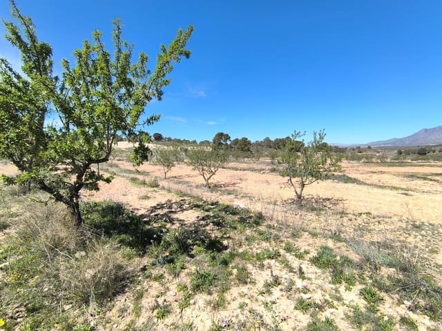 Terre non Aménagée à vendre à La Zarza, Jumilla - 43 500 € (Ref: 8947019)