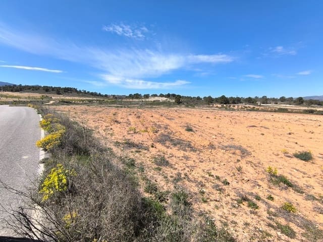 Terre non Aménagée à vendre à La Zarza, Jumilla - 43 500 € (Ref: 8947019)