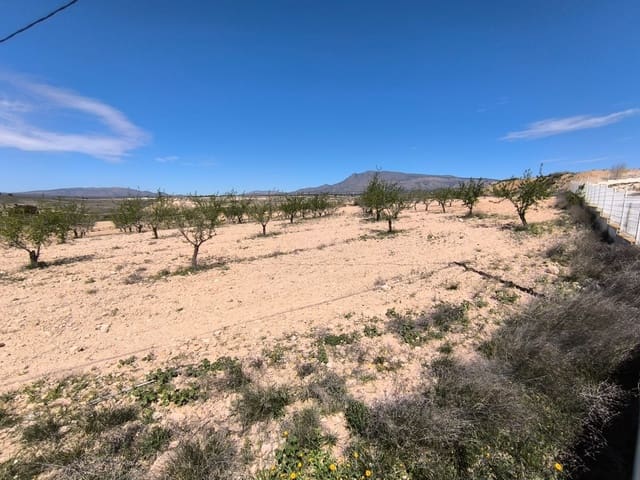 Ubebygd land til salgs i Pinoso - € 52 900 (Ref: 8947020)