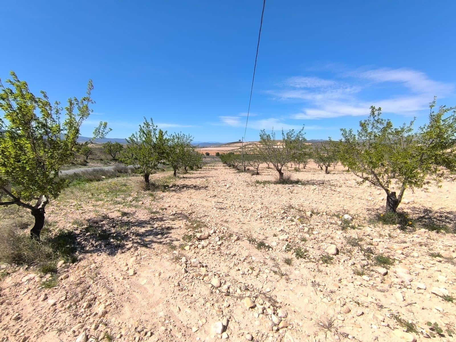 Undeveloped Land for sale in Jumilla - € 52,900 (Ref: 8947020)