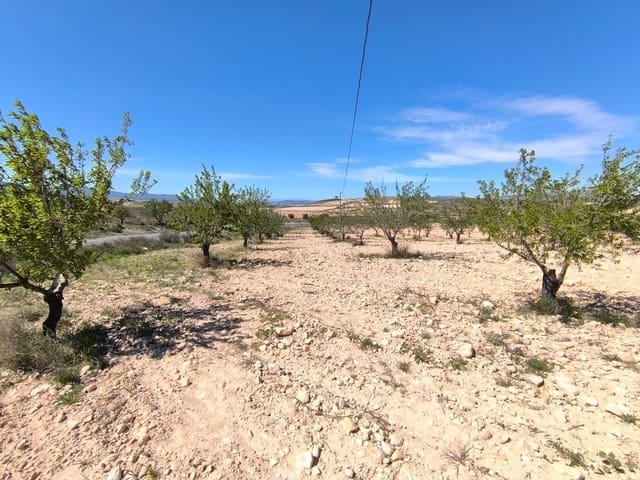 Undeveloped Land for sale in Jumilla - € 52,900 (Ref: 8947020)