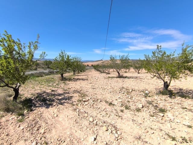 Terre non Aménagée à vendre à Jumilla - 52 900 € (Ref: 8947020)