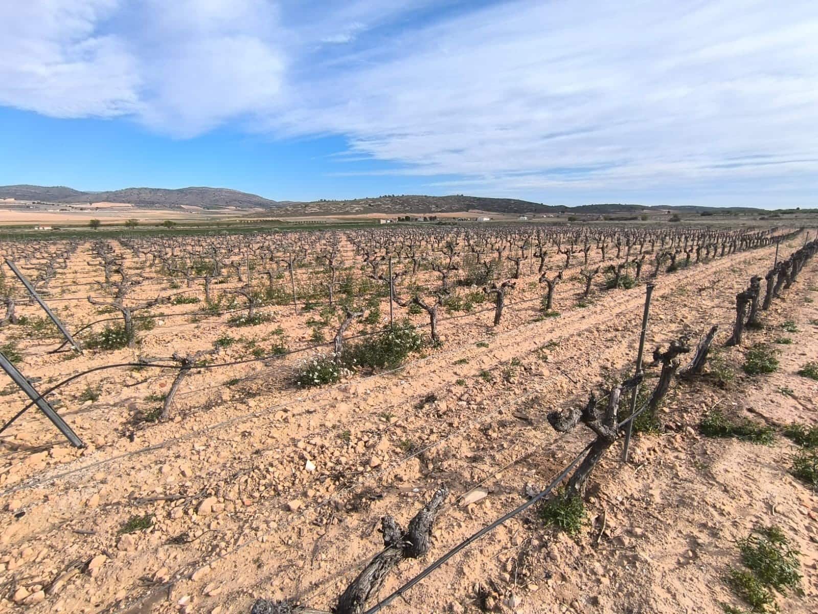 Finca/Casa Rural de 7 habitaciones en Yecla en venta con garaje - 149.990 € (Ref: 8947021)