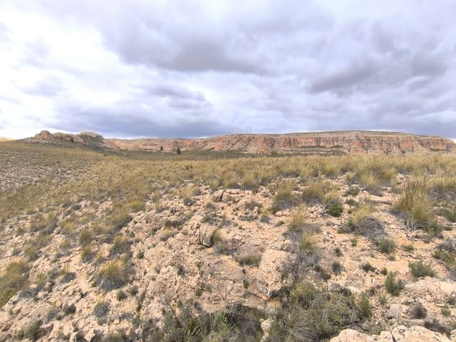 Mark till salu i Yecla - 46 900 € (Ref: 8947025)