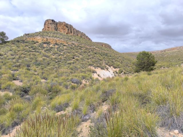 Mark till salu i Yecla - 46 900 € (Ref: 8947025)