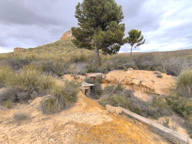 Mark till salu i Yecla - 46 900 € (Ref: 8947025)