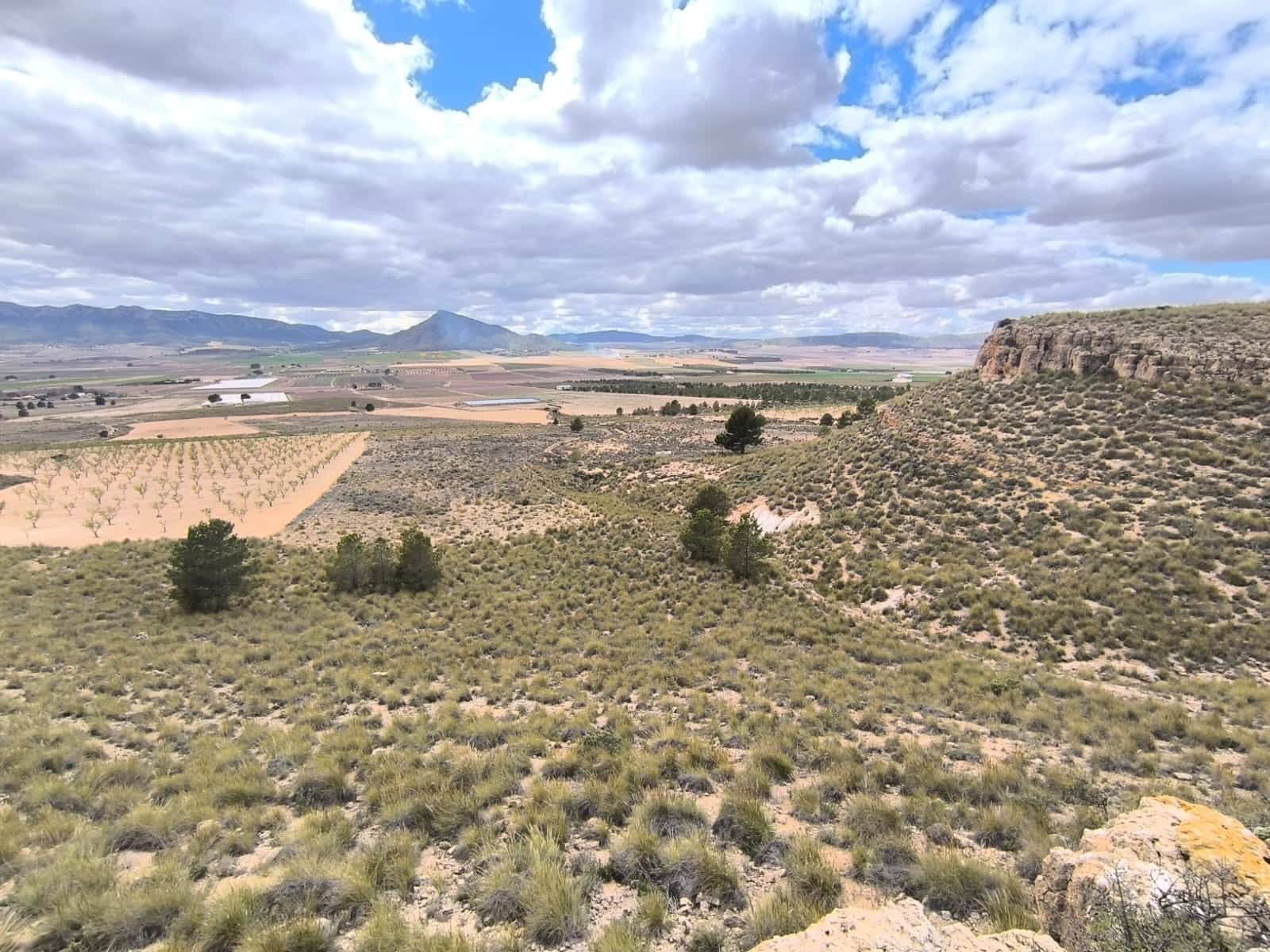 Ubebygd land til salgs i Yecla - € 46 900 (Ref: 8947025)