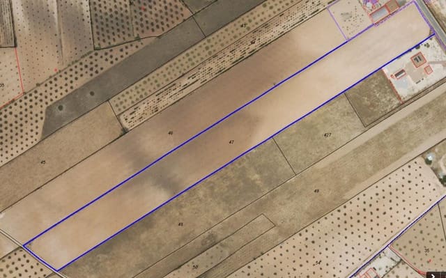 Grunde uden byggetilladelser til salg i Pinoso - € 67.500 (Ref: 8947027)