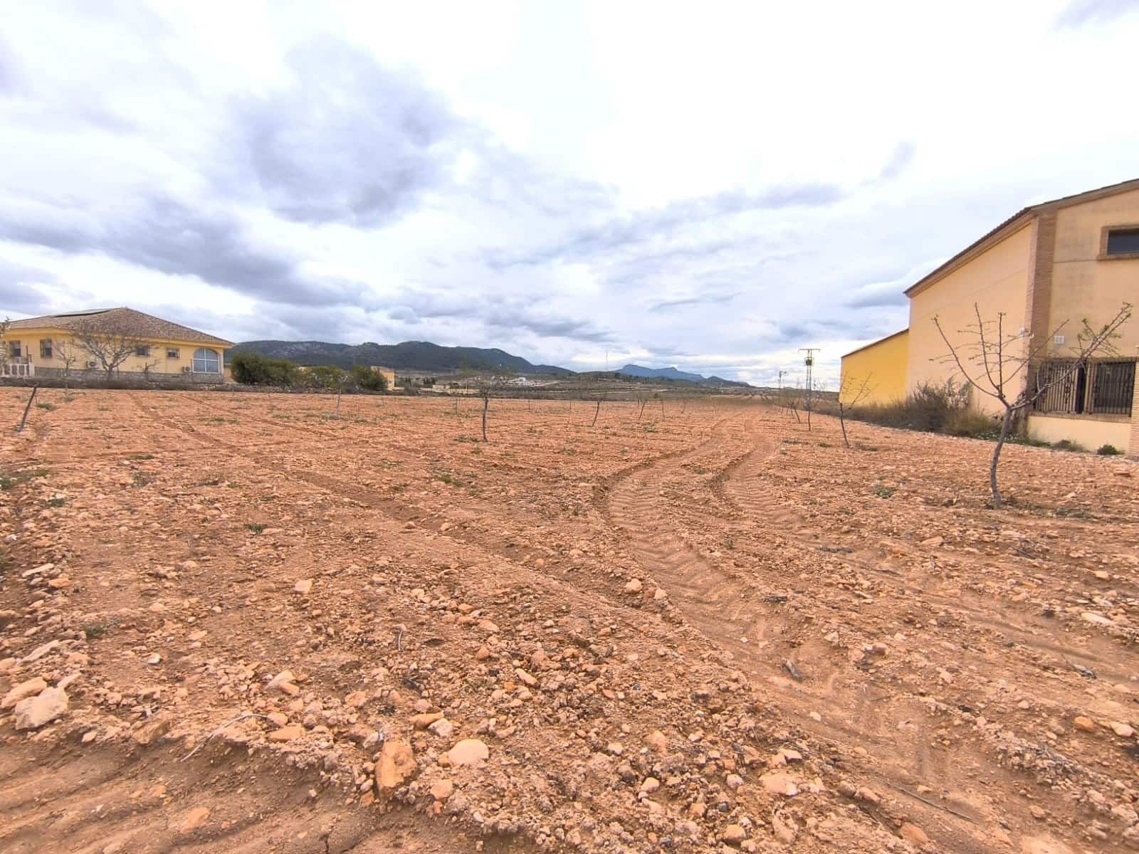 Grunde uden byggetilladelser til salg i Pinoso - € 67.500 (Ref: 8947027)