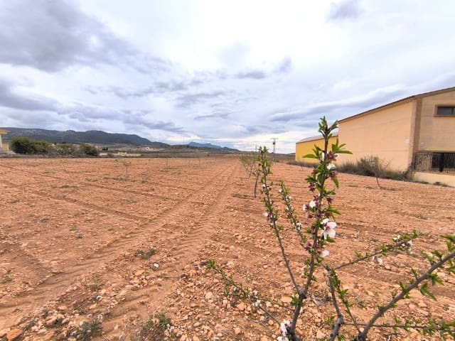 Grunde uden byggetilladelser til salg i Pinoso - € 67.500 (Ref: 8947027)