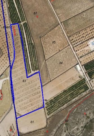 Mark till salu i Raspay, Yecla - 44 500 € (Ref: 8947028)