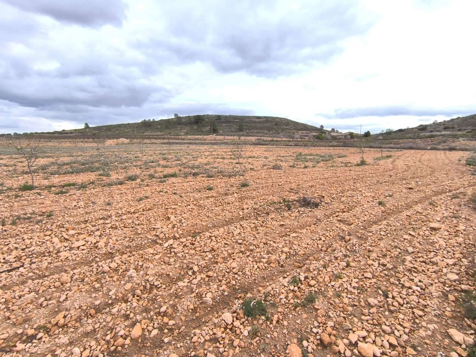 Grunde uden byggetilladelser til salg i Raspay - € 44.500 (Ref: 8947028)