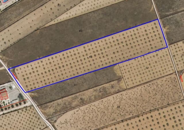 Mark till salu i Raspay, Yecla - 39 500 € (Ref: 8947030)