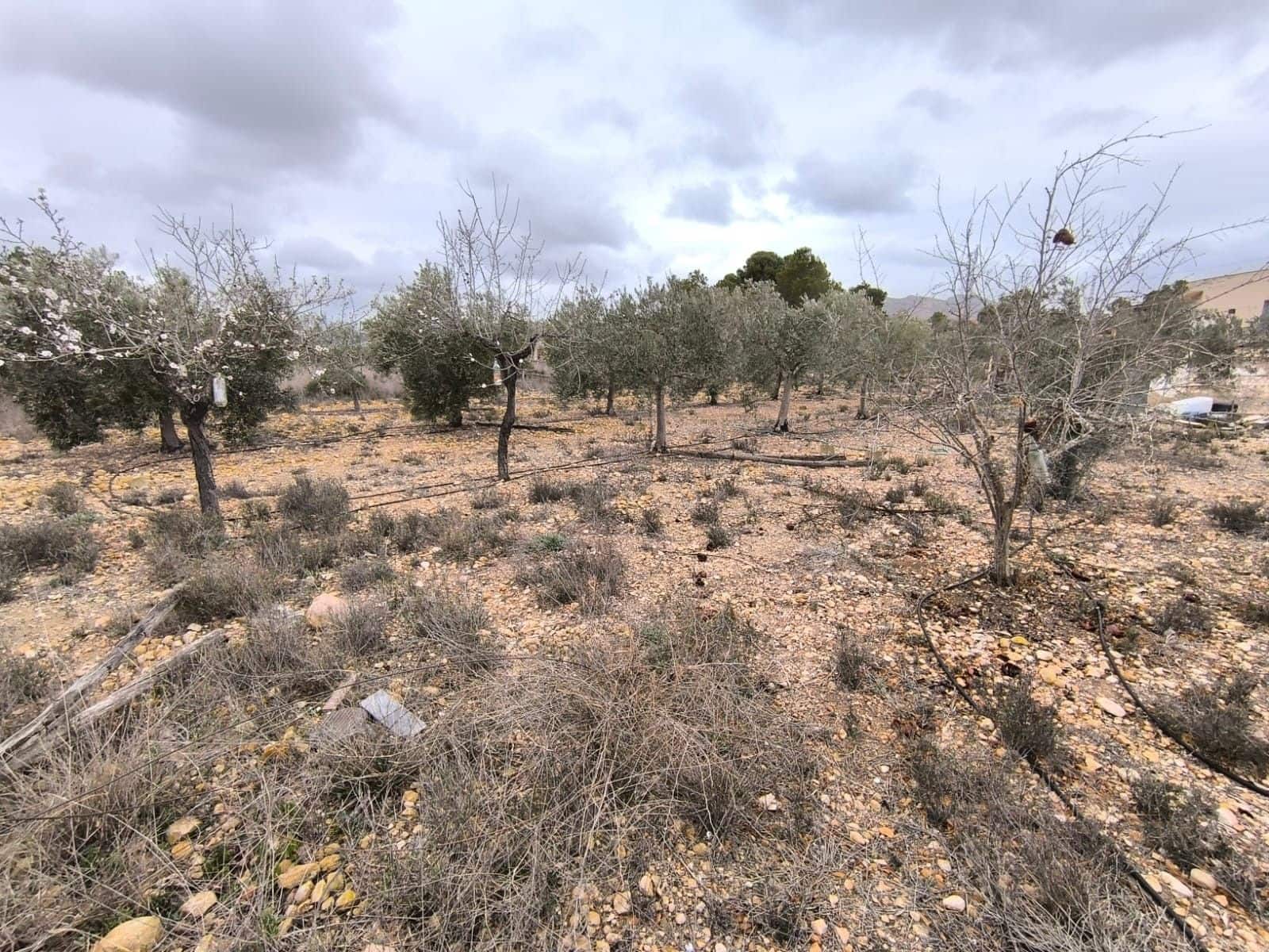 2 bedroom Finca/Country House for sale in La Romana with pool - € 99,990 (Ref: 8947033)
